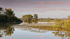 Kakadu