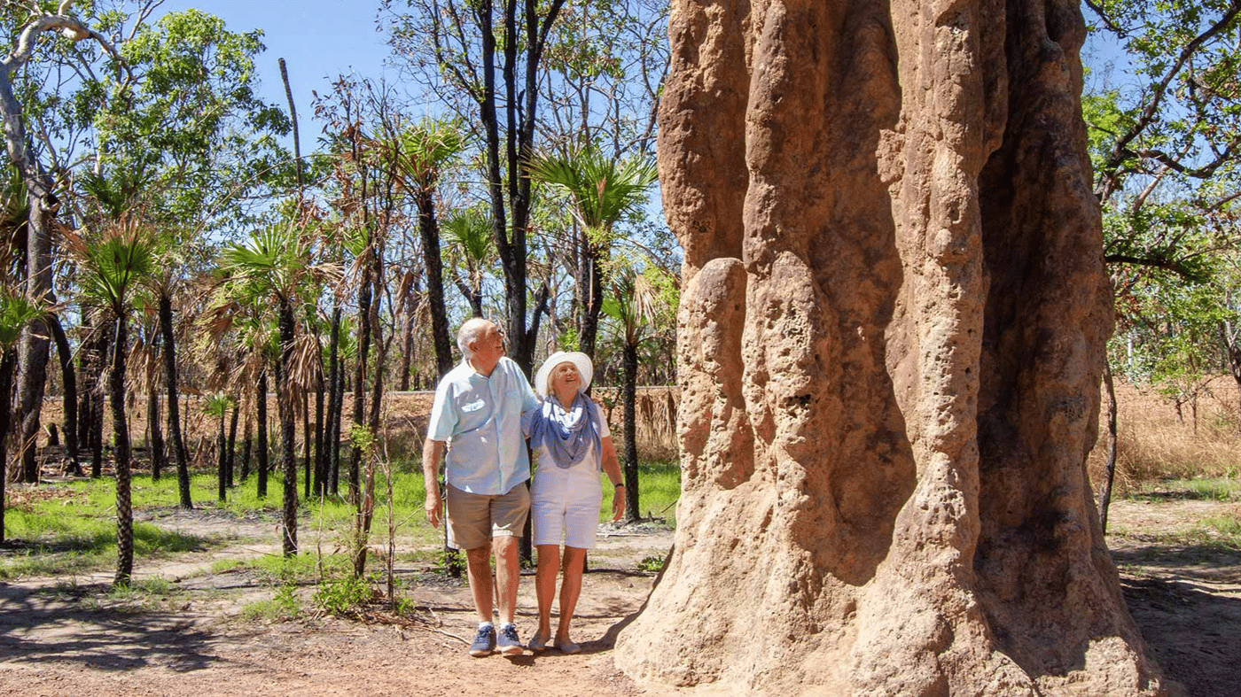 Termite Mounds 