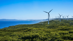 Wind Turbines on the Albany Coastline 