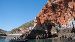 View Yampi Sound on a scenic cruise  
