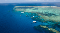 Norman Reef off Cairns 