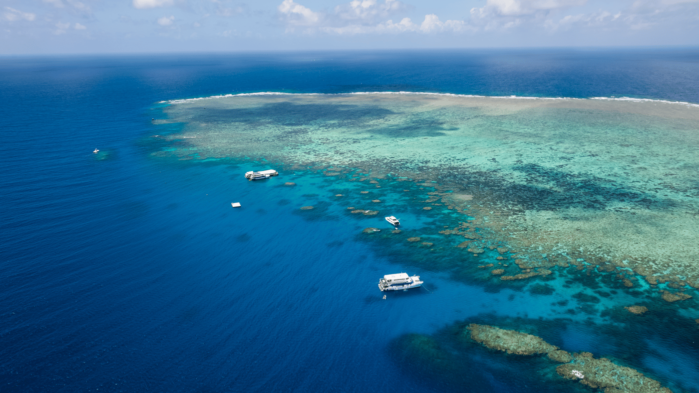 Norman Reef off Cairns 