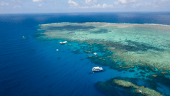 Norman Reef off Cairns 
