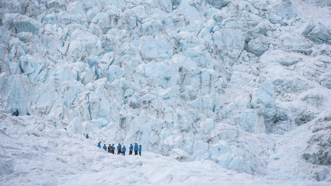 Franz Josef Glacier, West Coast, New Zealand 