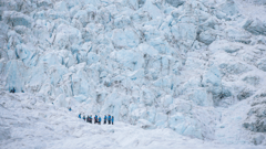 Franz Josef Glacier, West Coast, New Zealand 