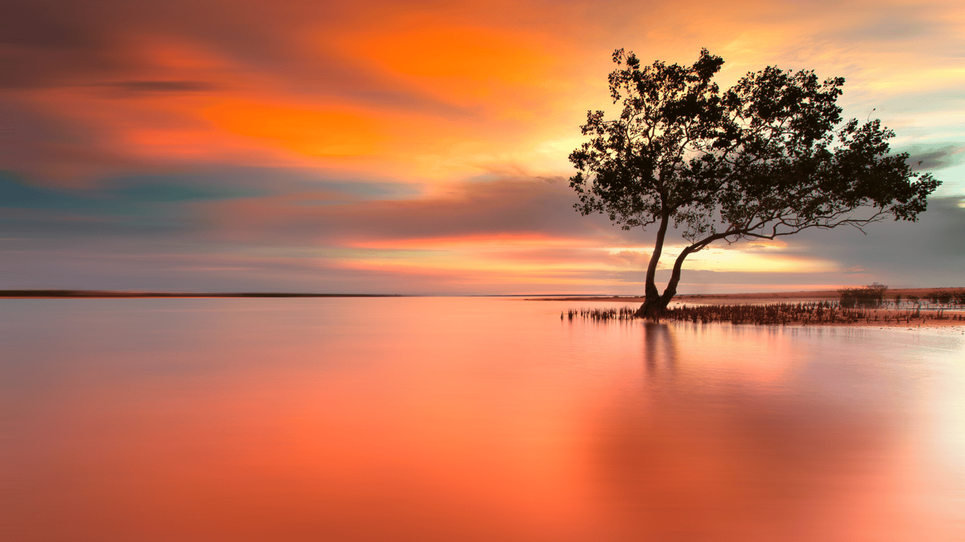 Sadly, your holiday comes to an end in Darwin