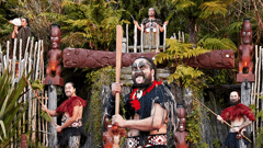 Enjoy a traditional Hangi Highlight Dinner and cultural performance at the Tamaki Maori Village.