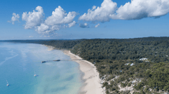 Stay in comfort at Kingfisher Bay Resort