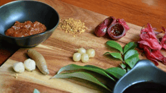 Enjoy traditional bush tucker with a unique gourmet twist on a fascinating afternoon demonstration