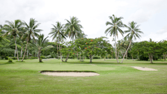 A round of golf, anyone?