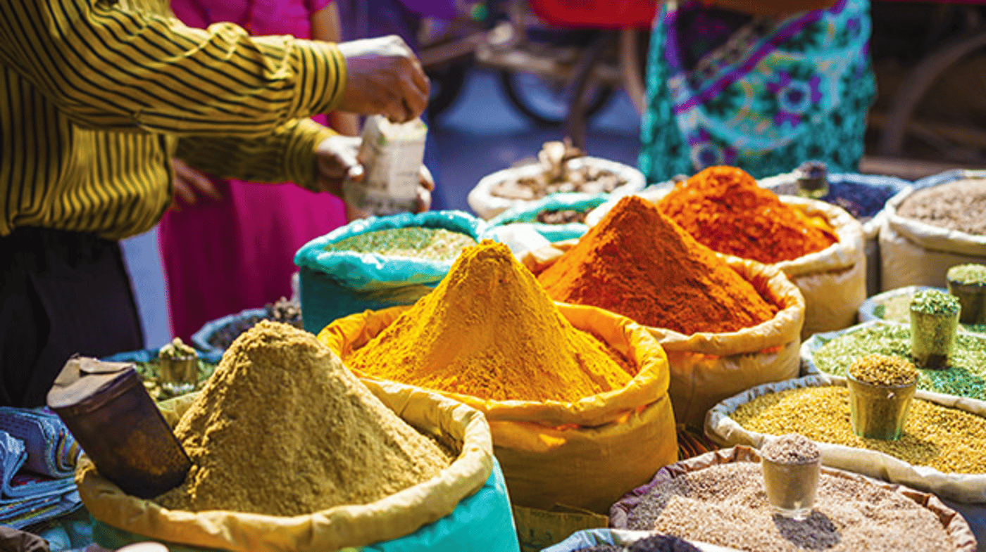 Spice markets, Delhi, India
