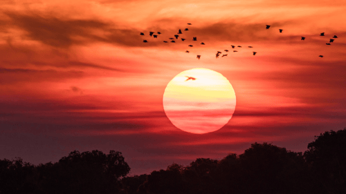 Darwin Sunset 