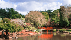 Japanese Gardens Toowoomba