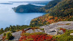 Acacia National Park, Maine, USA