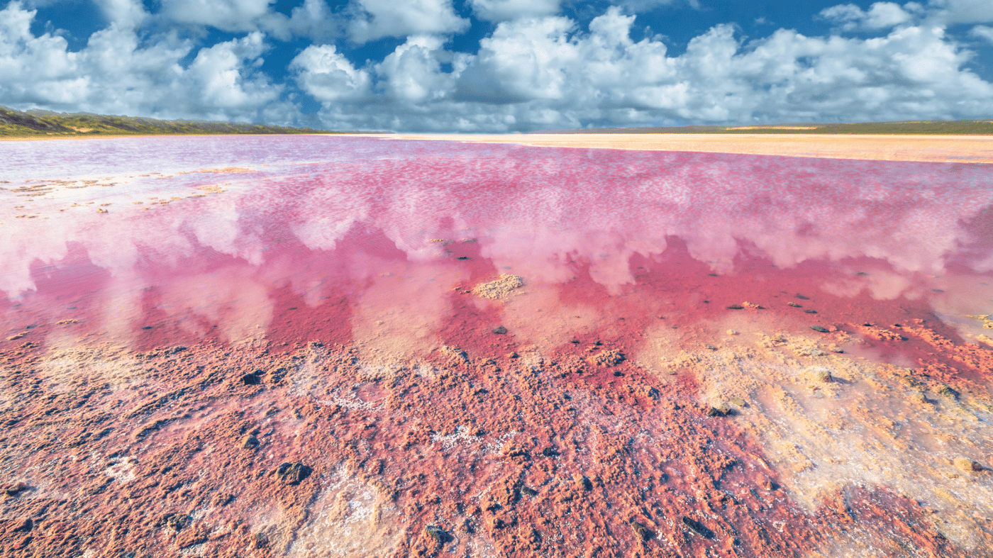 Pink Lake at Port Gregory (near Geraldton)