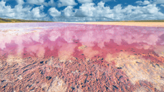 Pink Lake at Port Gregory (near Geraldton)