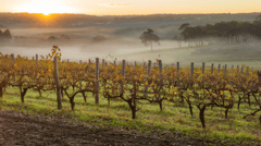 Margaret River