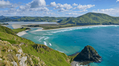 Allans Beach, Hoopers Inlet, Dunedin South Island New Zealand
