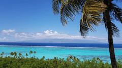 Moorea Lagoon, Tahiti 