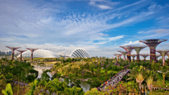 Gardens by the Bay, Singapore 