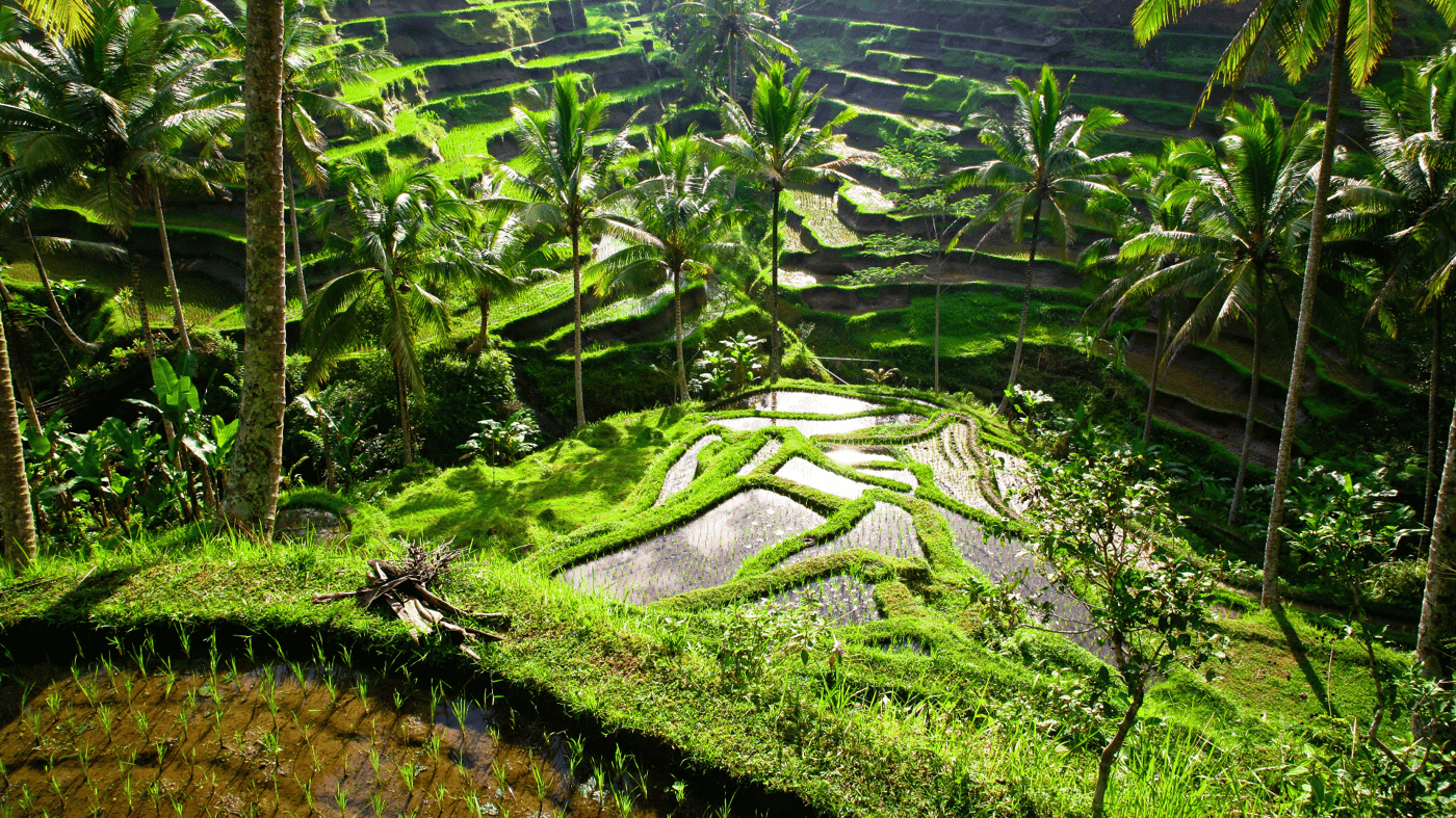 Ubud, Bali 
