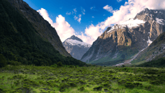 Fiordland