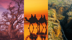 Broome Traffic at Sunset  (optional Camel Tour) 
