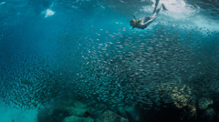 Read on for the amazing day-by-day itinerary...