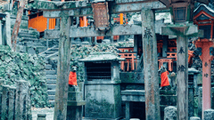 Kyoto Traditional Temple 