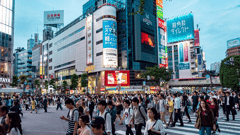 Arguably the world's most famous pedestrian crossing, seen in many a film and television show, witness the organised chaos and bright lights of Tokyo's Shibuya Crossing for yourself.