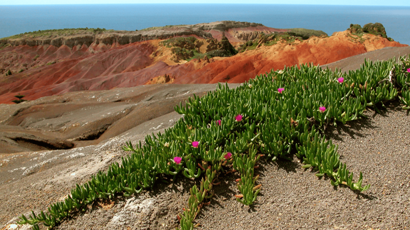 A trip to the neighbouring Phillip Island is a must!