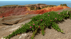 A trip to the neighbouring Phillip Island is a must!