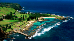 See why Norfolk Island is a place visitors return to again and again
