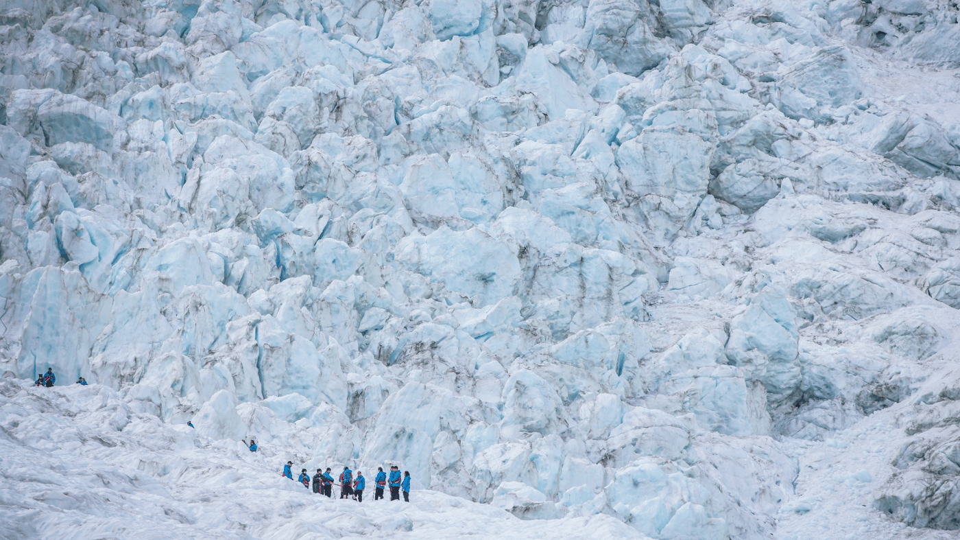 Franz Josef West Coast 