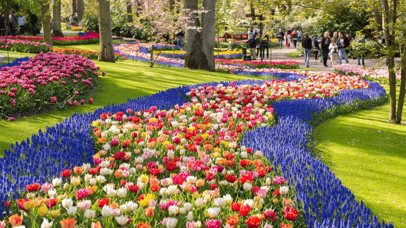 Keukenhof Gardens 