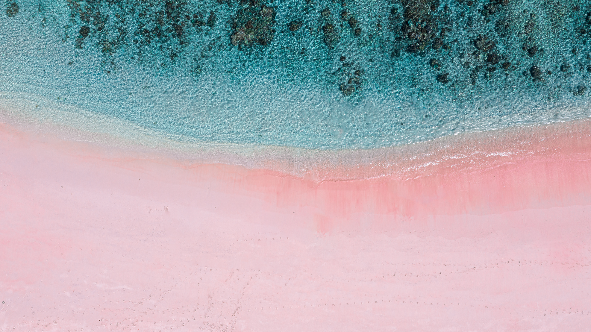 Komodo Islands Pink Beach 