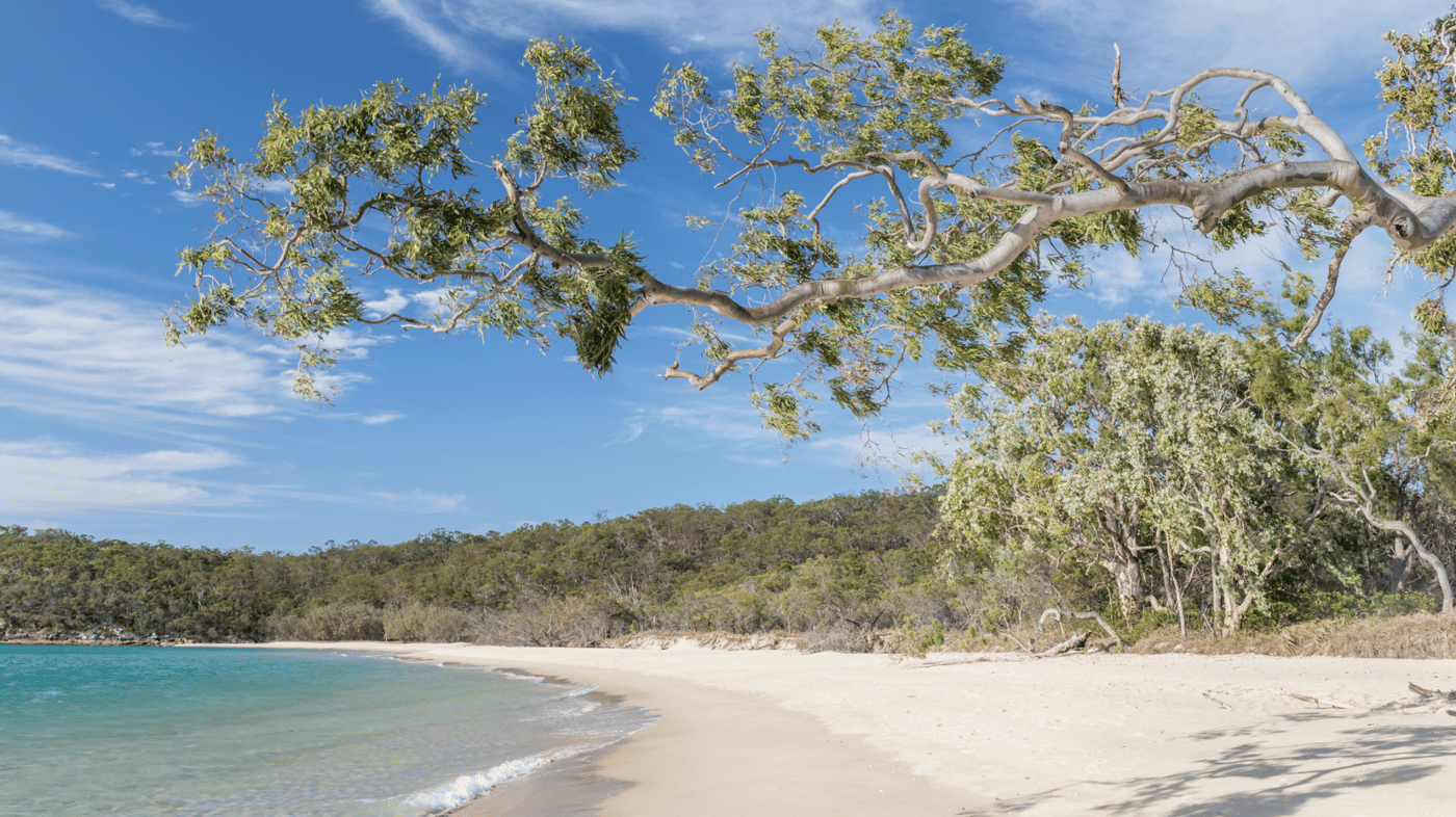 Wander the beautiful white beaches of Great Keppel Island 