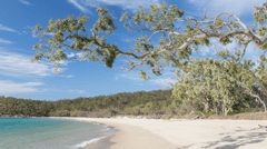 Wander the beautiful white beaches of Great Keppel Island 