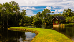 Visit the beautiful Botantical Gardens