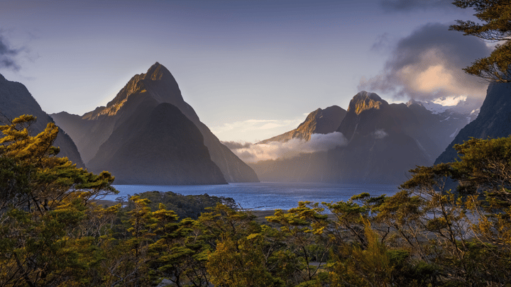 See the many wonders of New Zealand on an unforgettable MS Noordam cruise (Sydney roundtrip, Jan 2023)