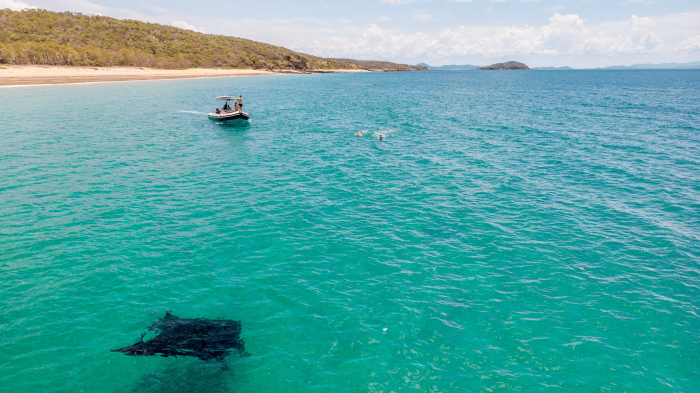Snorkelling the Great Barrier Reef, Great Keppel Island 