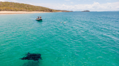 Snorkelling the Great Barrier Reef, Great Keppel Island 