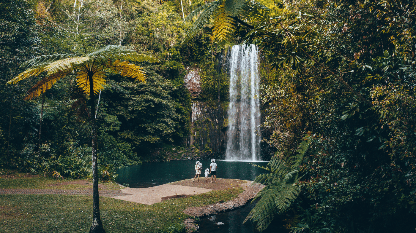 Millaa Millaa Falls, Queensland 