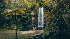 Millaa Millaa Falls, Queensland 
