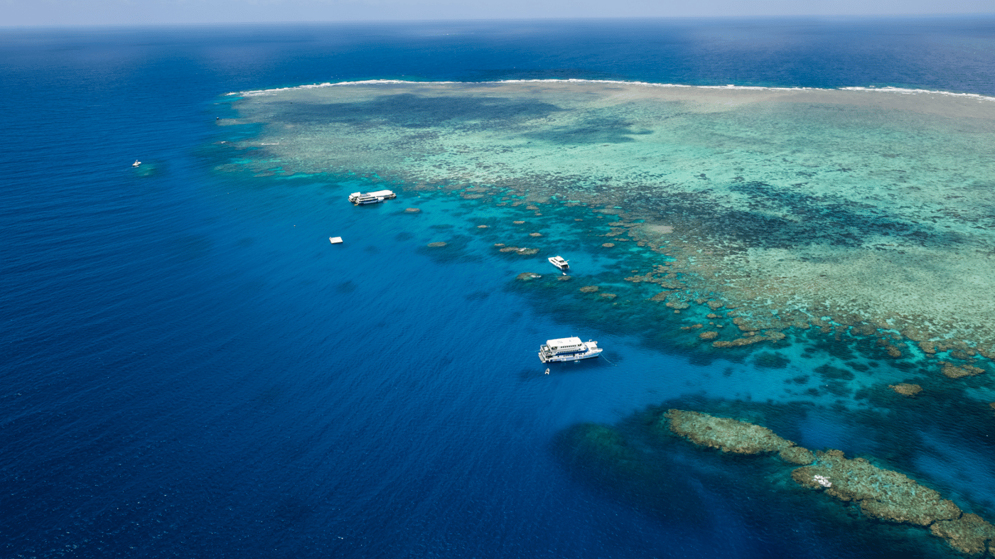 Experience the Great Barrier Reef and discover the amazing fish and coral life 