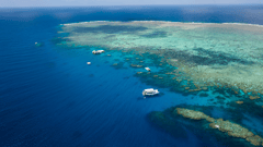 Experience the Great Barrier Reef and discover the amazing fish and coral life 