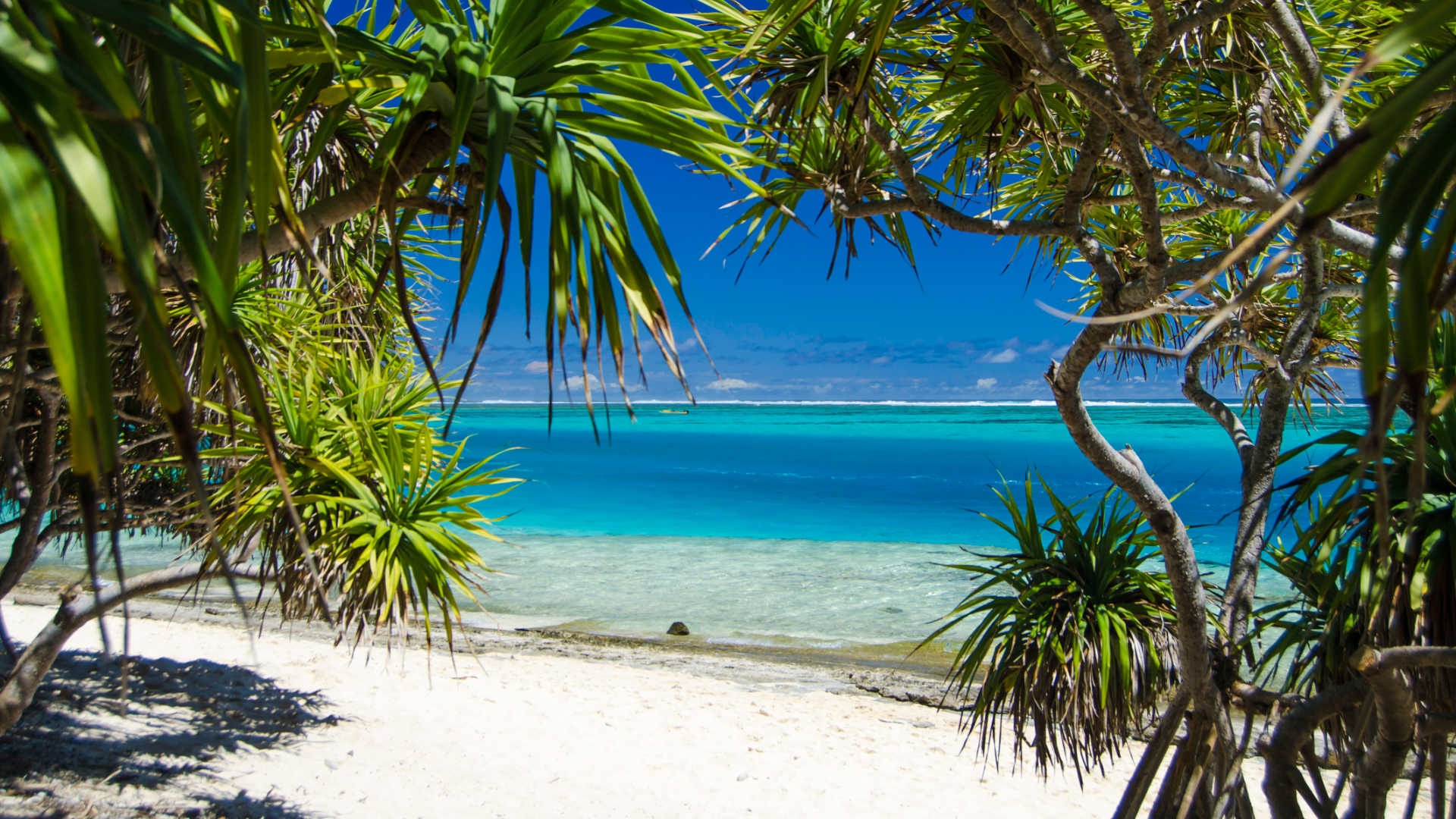 Clear blue waters of Vanuatu 