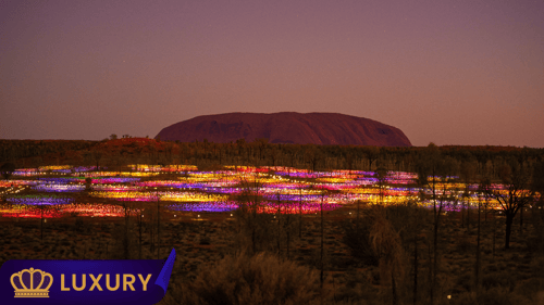 Bruce Munro's Field of LIght - Uluru 
