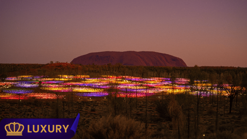 Bruce Munro's Field of Light - Uluru 