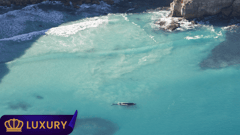 8 Day South Australian Whales & Seafood 